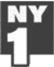 ny1-100