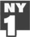 ny1-100